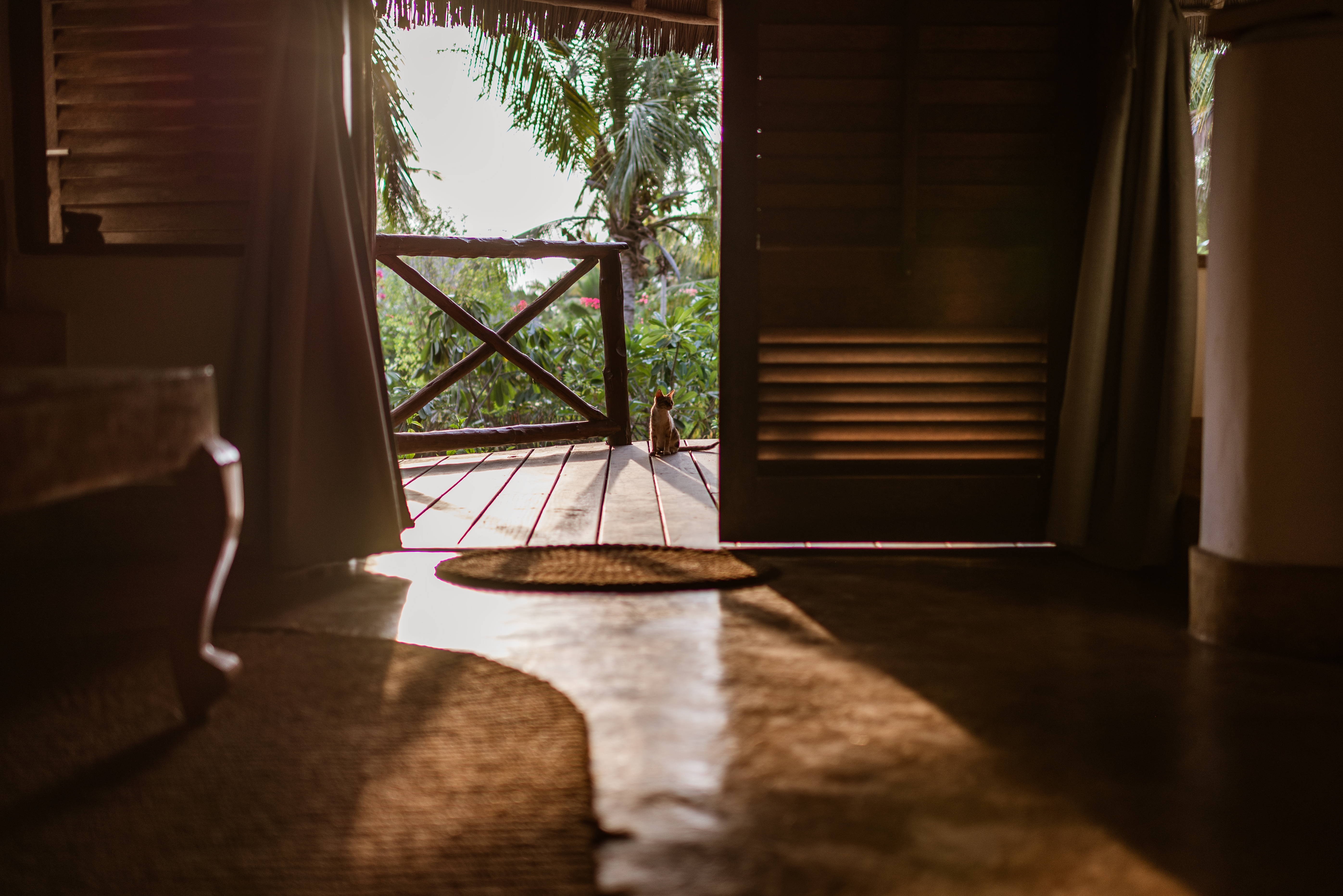 Shaded veranda opening onto the coast, Zanzibar
